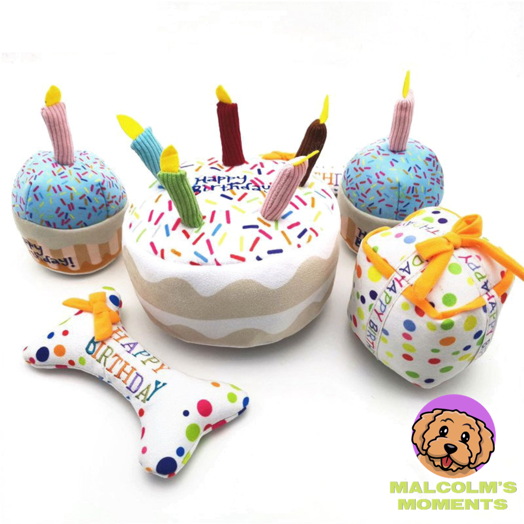 Puppy "Paw-ty" Bite Resistant Birthday Themed Toys and Accessories