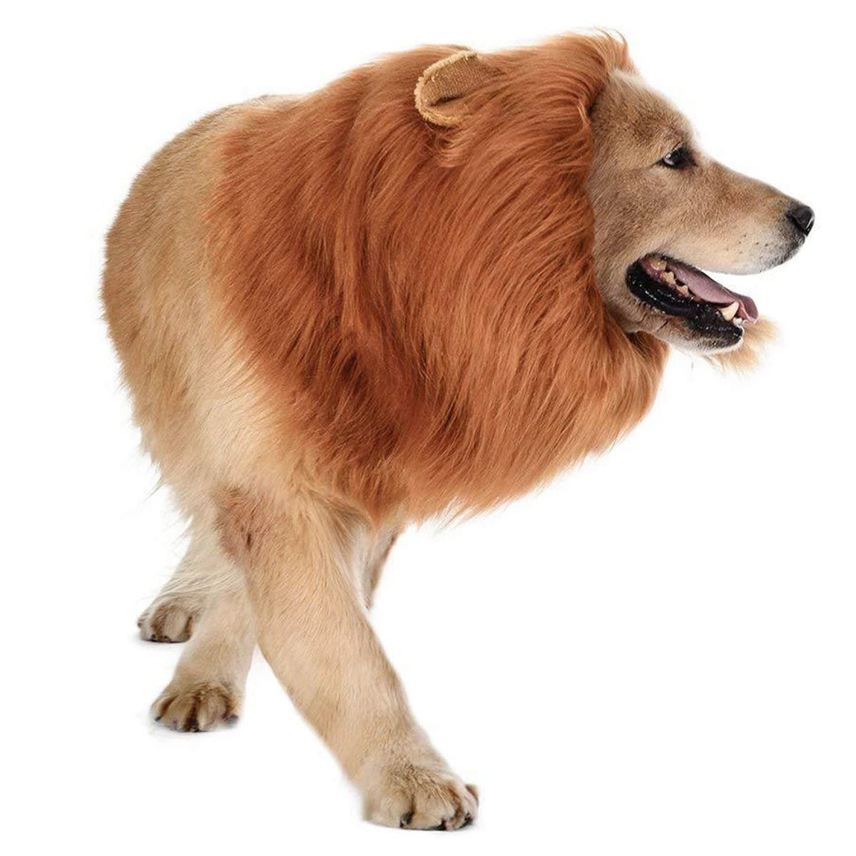 Pet Dog Lion Mane Wig – The Purr-fect Costume for Your Furry Royalty!