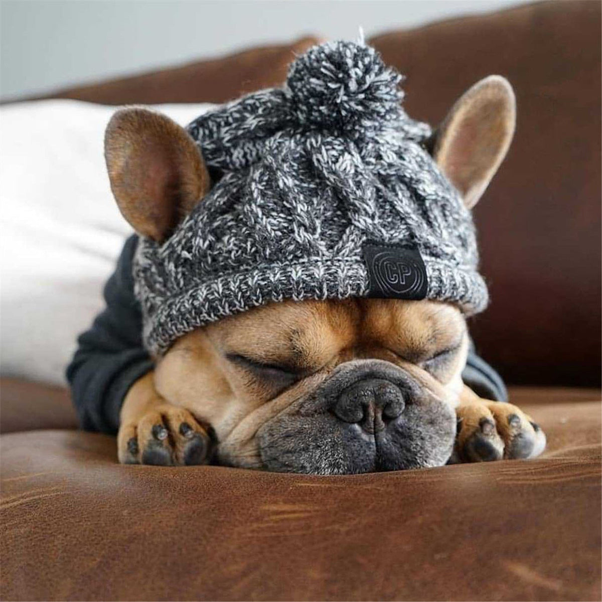 Warm Winter Dog Hats