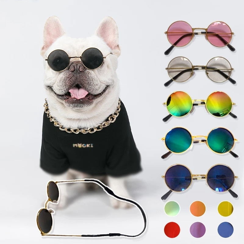Vintage-Inspired Sunglasses and Frames for Dogs